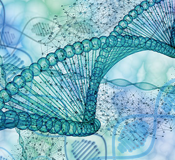 High-throughput sequencing